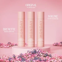 Shampooing Sec ORIGINAL