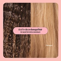 MONDAY Haircare Masque capillaire HYDRATATION PROFONDE 250 mL