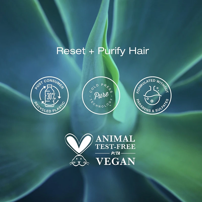 Shampoing clarifiant Raw Sugar The Deep Cleanse - Charbon + Matcha + Aloès - 530 ml