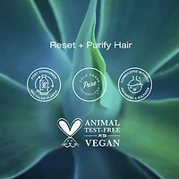 Shampoing clarifiant Raw Sugar The Deep Cleanse - Charbon + Matcha + Aloès - 530 ml