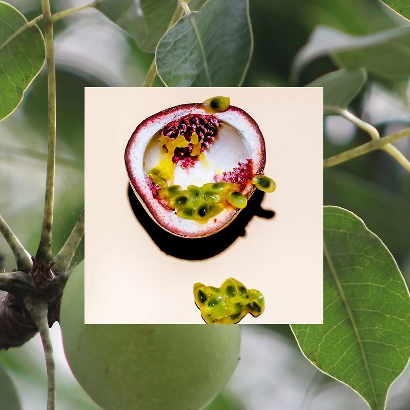 Shampoing Raw Sugar The Grow Pro - Fruit de la passion + Marula + Zinc - 530 ml