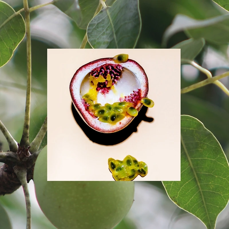 Après-shampoing Raw Sugar The Grow Pro - Fruit de la passion + Marula + Zinc - 530 ml