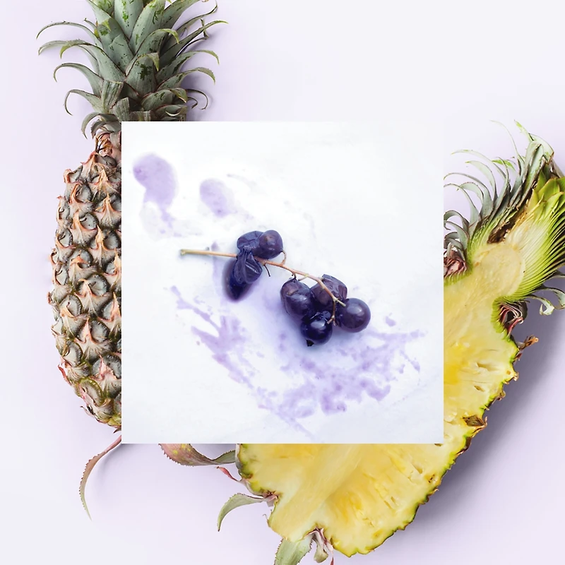 Gel douche - Ananas + Baies de maqui + Noix de coco