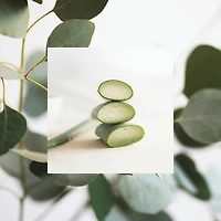 Micropolissage - Le gommage du cuir chevelu