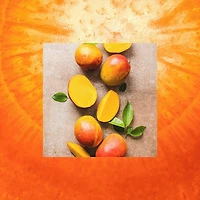 le soin extra élasticité - Beurre de mangue + Huile de carotte shampoing