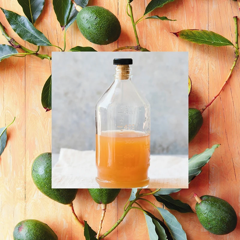 le soin pour les cheveux rebelles - Avocat + Vinaigre de cidre de pomme + Huile de romarin shampoing