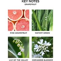 Diffuseur de parfum Pamplemousse