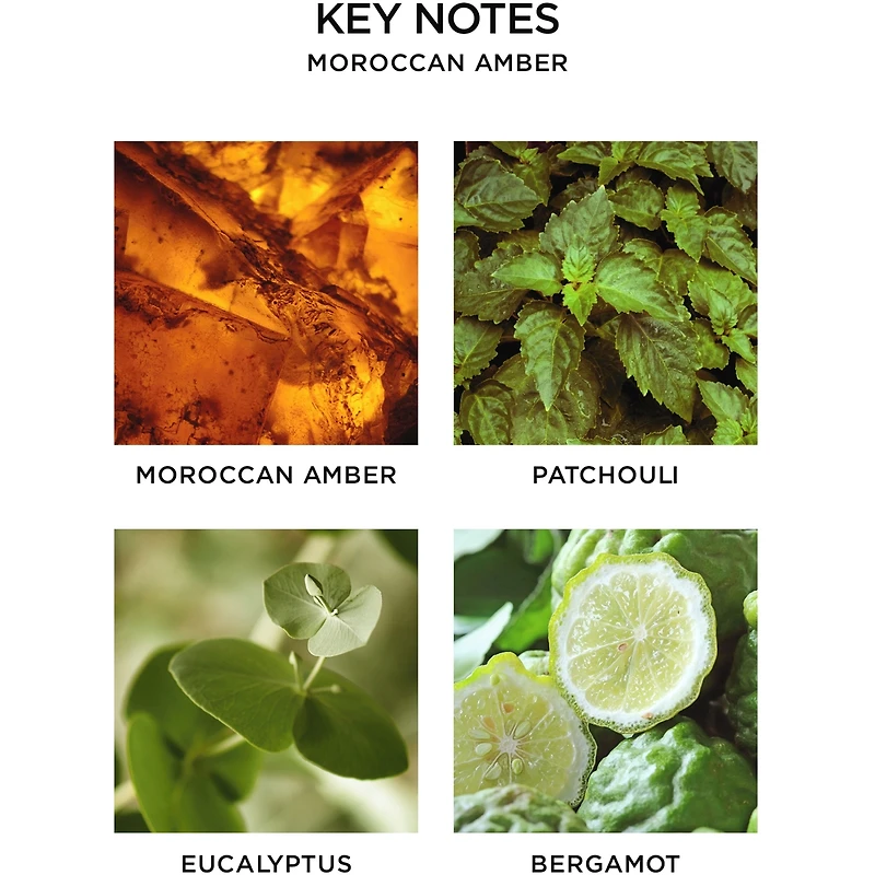 Diffuseur de parfum Ambre marocain