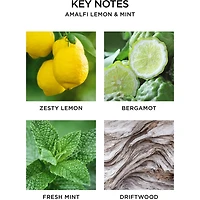 Bougie classique Citron d’Amalfi et menthe