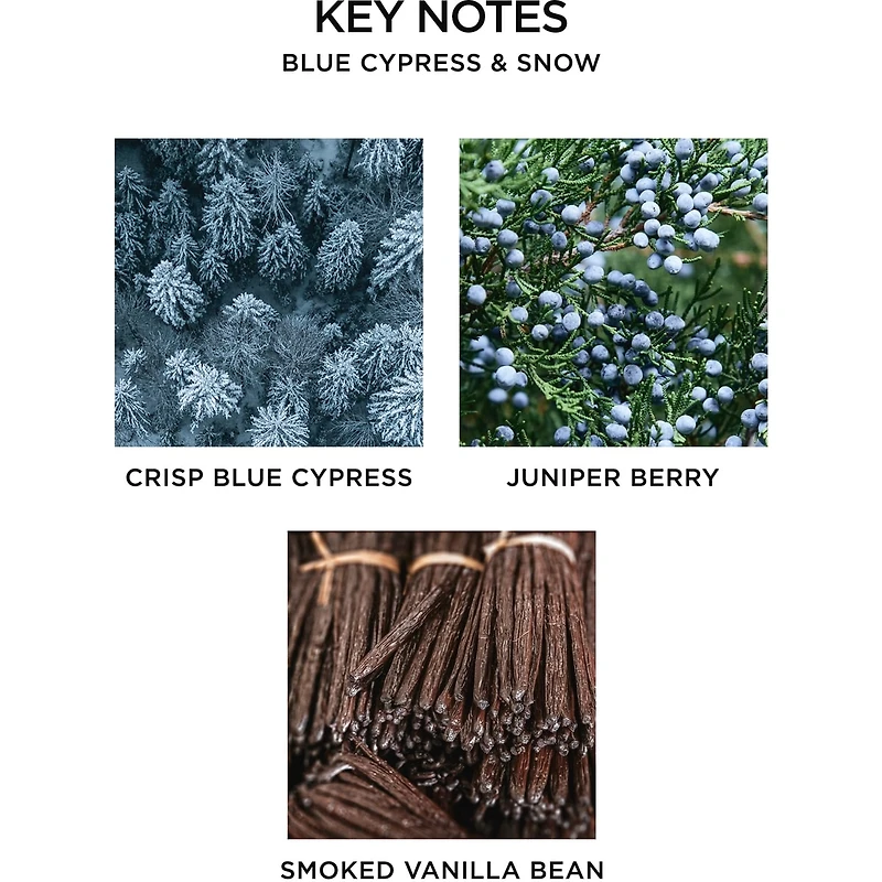 Bougie à trois mèches Blue Cypress & Snow