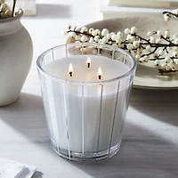 Bougie à trois mèches Blue Cypress & Snow