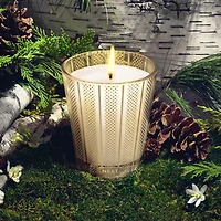 Bougie classique Bouleau et pin