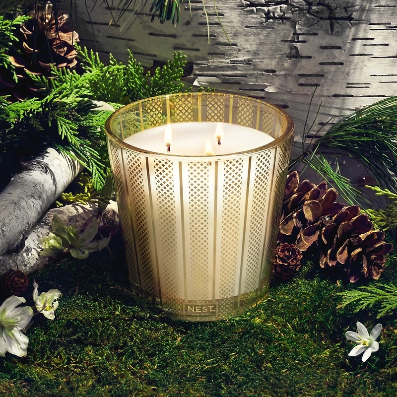 Bougie à trois mèches Bouleau et pin