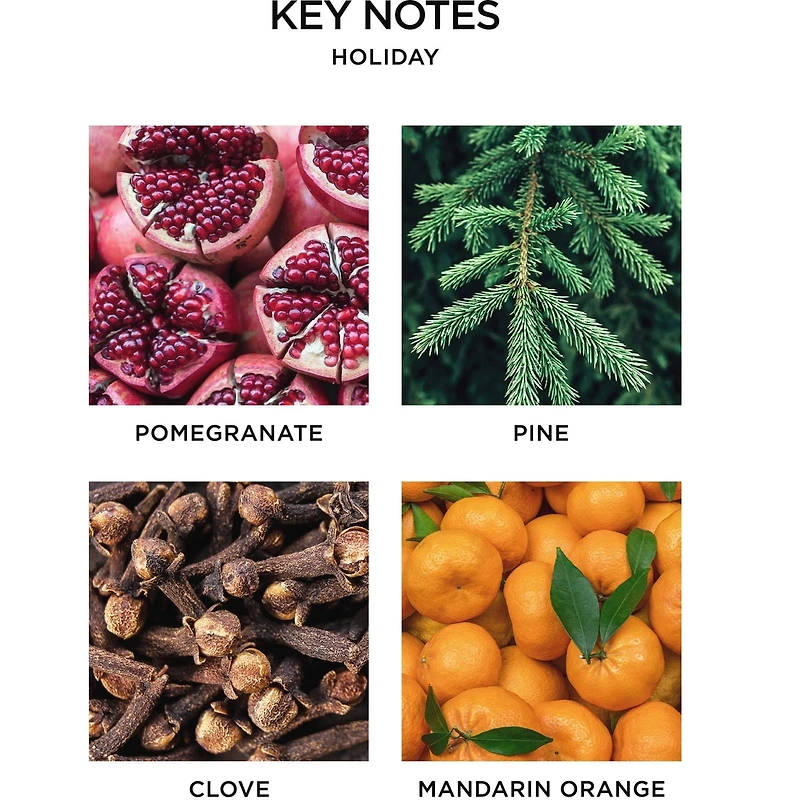 Holiday Reed Diffuser