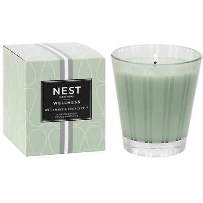 Bougie classique Menthe sauvage et eucalyptus