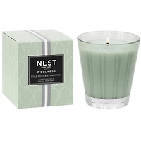 Bougie classique Menthe sauvage et eucalyptus