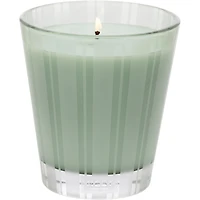 Bougie classique Menthe sauvage et eucalyptus