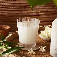 Bougie classique Bambou