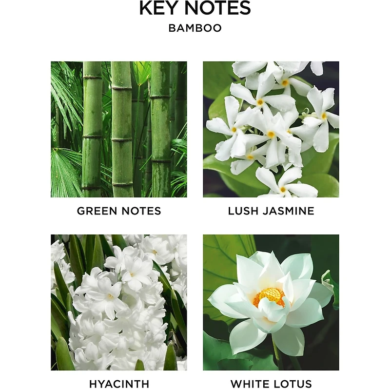 Bougie classique Bambou