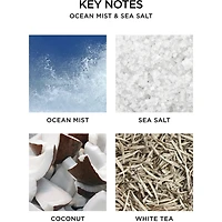 Ocean Mist & Sea Salt Reed Diffuser