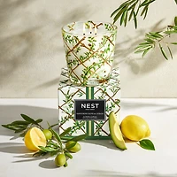Bougie de spécialité à trois mèches Santorini Olive & Citron