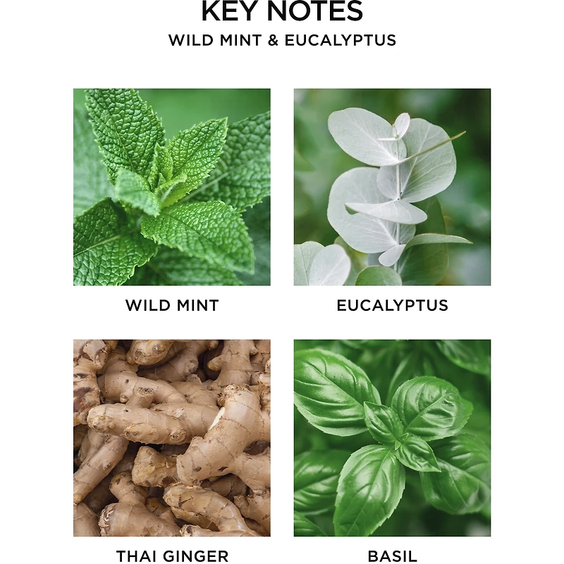 Diffuseur De Parfum Portatif
