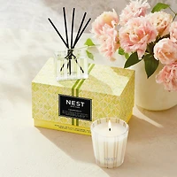 Petite ensemble de bougie et diffuseur de parfum Grapefruit