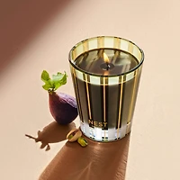 Pistachio & Wild Fig Classic Candle