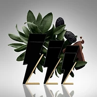 Bad Boy Eau de Toilette