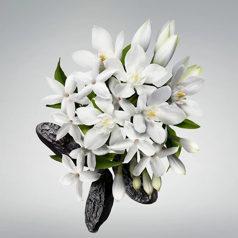 Good Girl Bowtastic Eau de Parfum