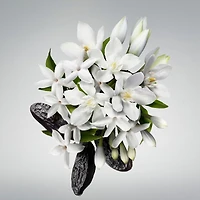 Good Girl Bowtastic Eau de Parfum