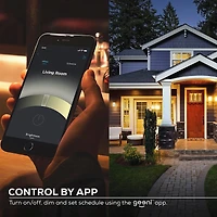 Ampoule intelligente à DEL Wi-Fi LUX 800 - Blanc