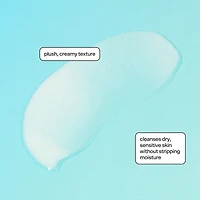 Soft Launch Hydrating Cream Cleanser
