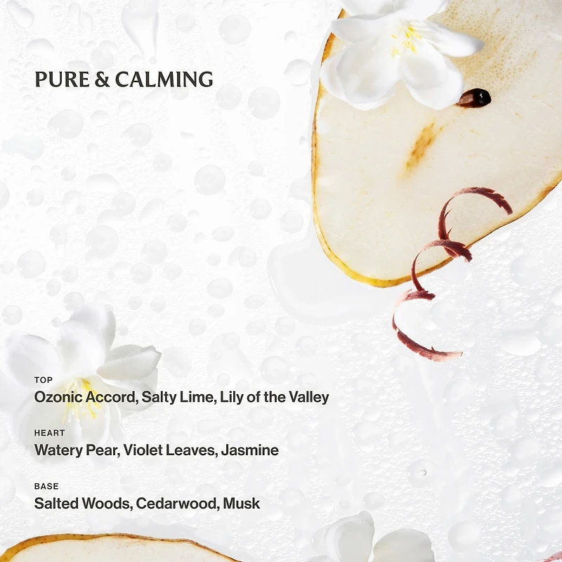 Power Mist Hydrating Hand Sanitizer Beach Coco