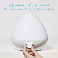 Humidificateur + Diffuseur + Veilleuse 3-en-1