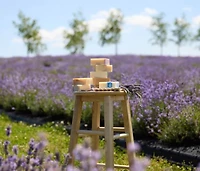 Soap Lavender and Patchouli