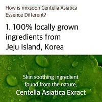 Essence Centella Asiatica Soondy