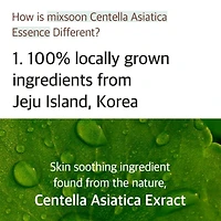 Essence Centella Asiatica Soondy