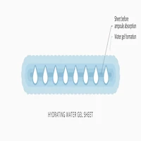 Masque Gel à l’Eau 1025 Dokdo – 1 Boîte / 10 Pièces