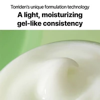 Crème Cica Équilibrante