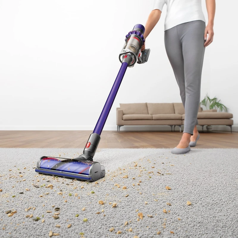 Aspirateur sans fil Dyson V10 Animal+