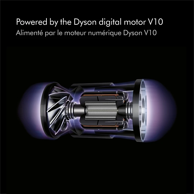Aspirateur sans fil Dyson V10 Animal+
