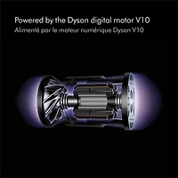 Aspirateur sans fil Dyson V10 Animal+