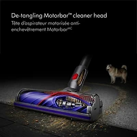 Aspirateur sans fil Dyson V10 Animal+