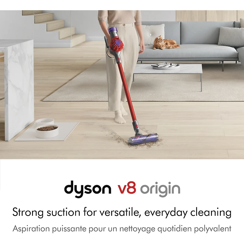 Dyson V8 Origin