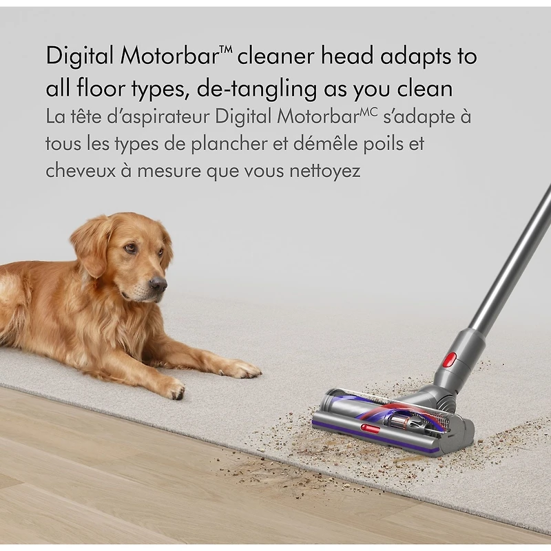 Aspirateur sans fil Dyson V15 Detect