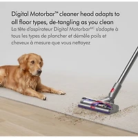 Aspirateur sans fil Dyson V15 Detect