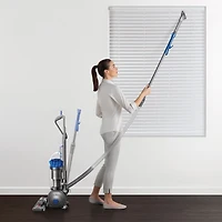 Aspirateur vertical Dyson Ball Allergy+