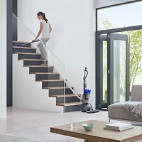 Aspirateur vertical Dyson Ball Allergy+