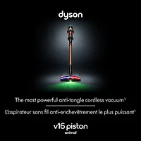 Aspirateur sans fil Dyson V16 Piston Animal